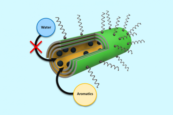 Gubkin University scientists developed innovative catalysts based on natural nanotubes